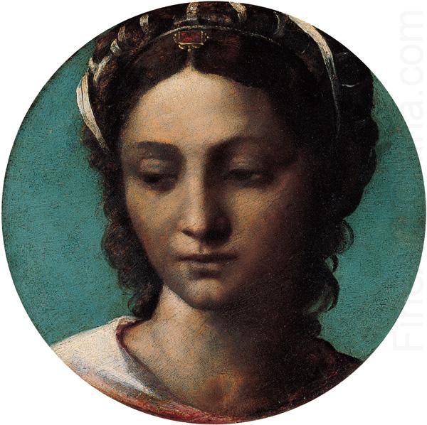 Sebastiano del Piombo Head of a Woman china oil painting image